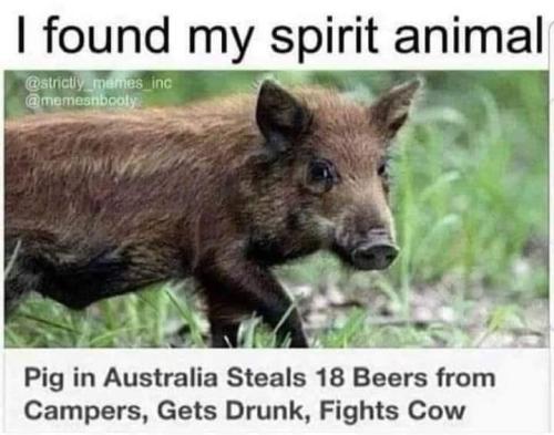 df6910213f8fb246f81308ea12d1e13a_1024