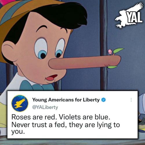 300481308_457686373064245_959630222980126745_n