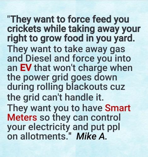 Screenshot_2022-08-19-18-53-42-292_cn.wps.moffice_eng~2