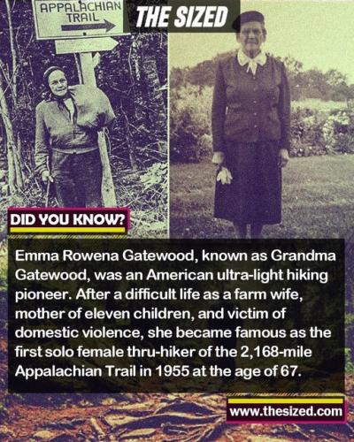 300780732_597931941773127_4422304994909137409_n