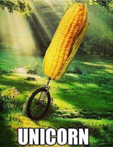 a1-aead13a9bcff0bb3b6bd43a0e7fb6d90_1024