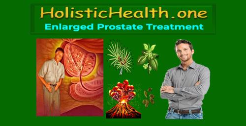 HolisticHealth.one - Treatment for Enlarged Prostate