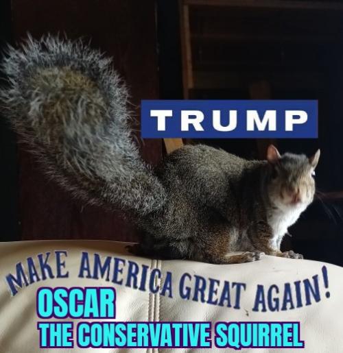 ZomboMeme 22082022200733