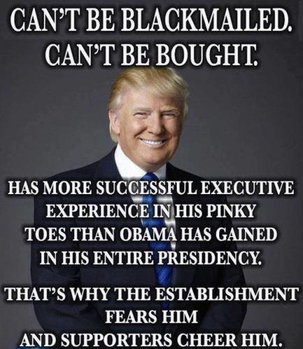 28378470_862056970663911_2879454514500046317_n