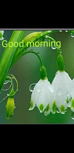 FB_IMG_1660292241758