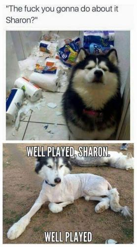 FB_IMG_1661365227686