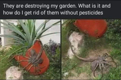 FB_IMG_1661730288188