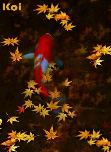 13332763_10204768046641191_3797757773605288339_n