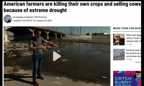 Screenshot_2022-08-20-13-23-35-650_com.google.android.youtube~2