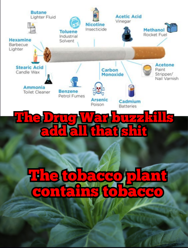 Polish_20220819_030907380