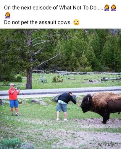 FB_IMG_1660059109563