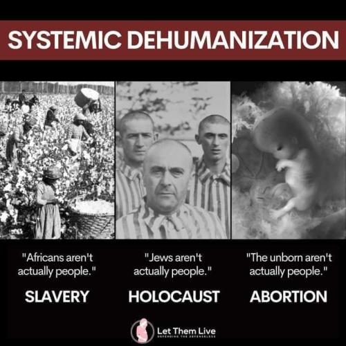 FB_IMG_1649374234696