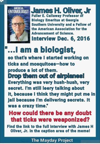 Screenshot_2022-07-31-19-13-21-372_com.facebook.katana~2