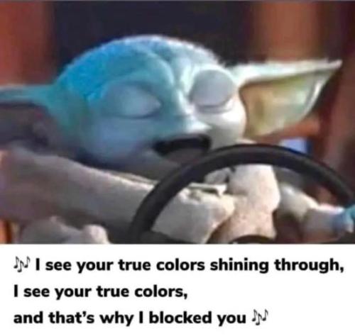 301124410_187094260436680_665370726325007386_n