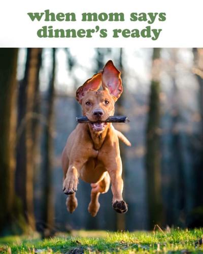 FB_IMG_1660773916513