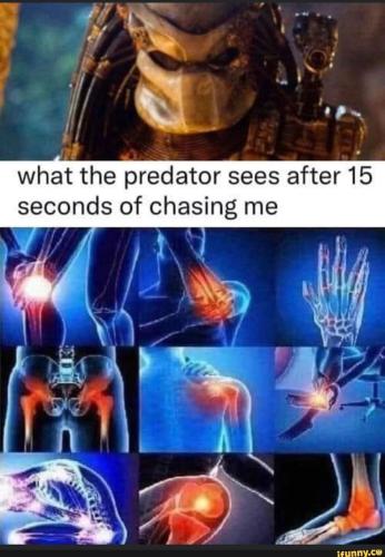 298623256_1962667157256531_4774110900686096417_n