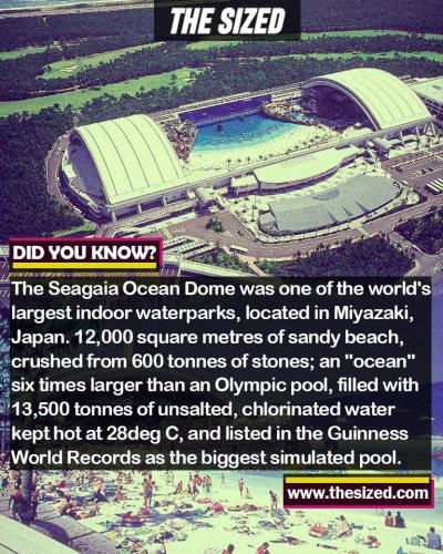 300245823_597012851865036_8403451669340447805_n