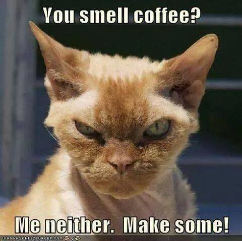 you smell coffee me neither make some