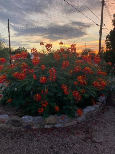 F14B252D-9B77-4F1F-A919-5EA8C20B6718