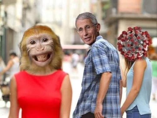 FB_IMG_1660584750675