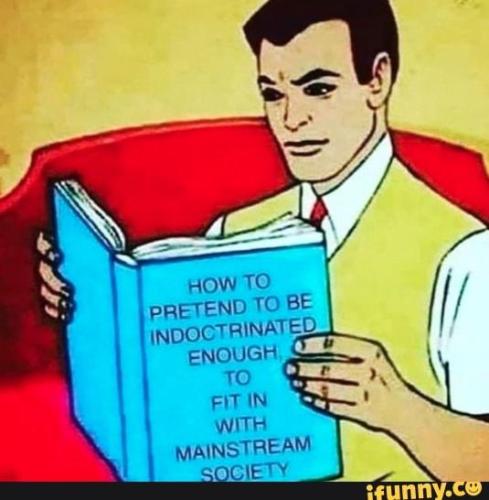 e4846c15-e9ca-4655-8b93-d3a9d2033726