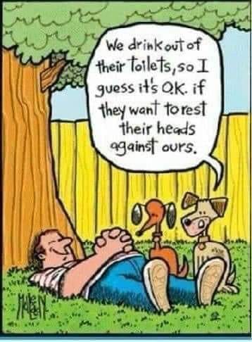 296982271_149006891116191_6520440947317166129_n