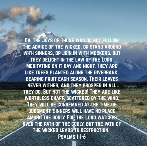 Screenshot_20220812-203331_Bible