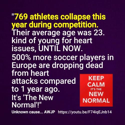 Screenshot_2022-08-22-16-06-16-498_cn.wps.moffice_eng~2