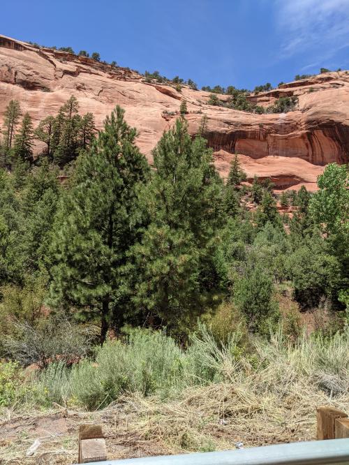 PXL_20220730_192012748