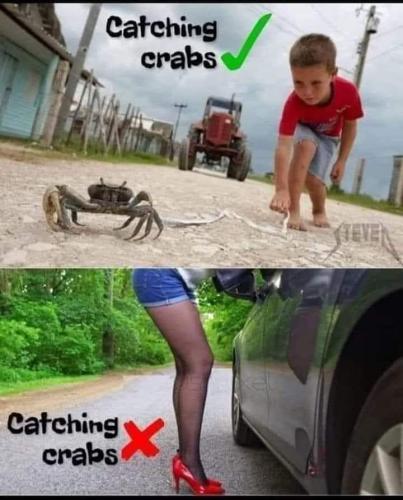 FB_IMG_1659589119009