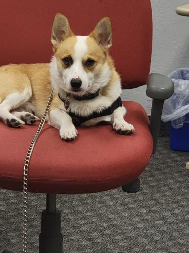 Resized_20220802_133923