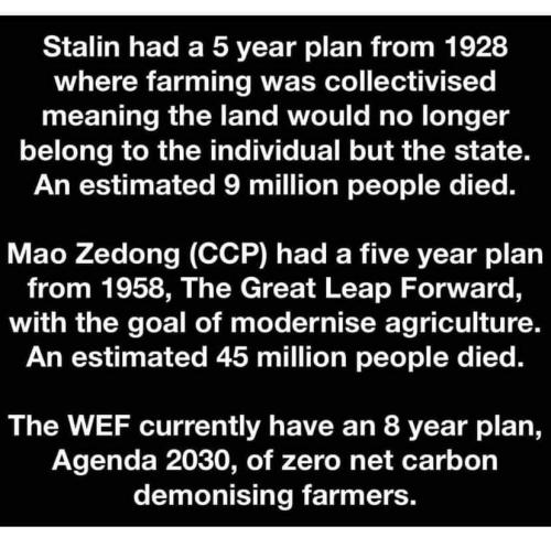 FB_IMG_1661105853101