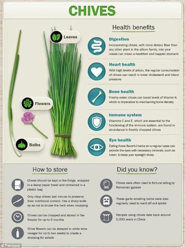 04:55:41 GMT-0500 (CDT)