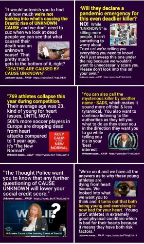 Screenshot_2022-08-22-16-07-41-916_com.google.android.apps.photos~2