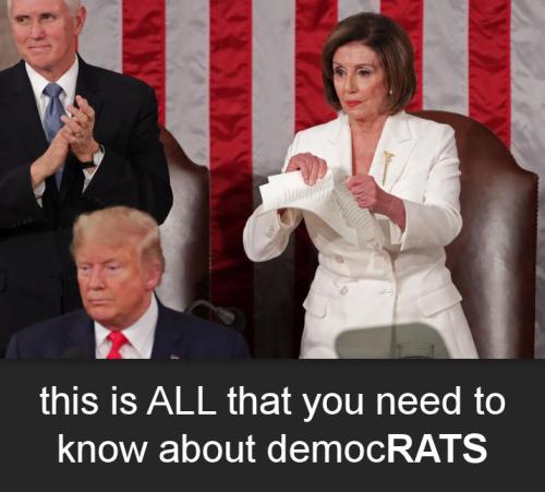 democrats533