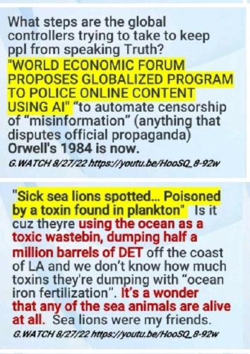 Screenshot_2022-08-30-14-38-12-959_com.google.android.apps.photos