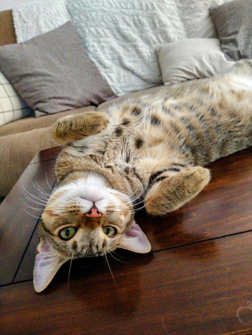 IMG_20220722_115537853~2