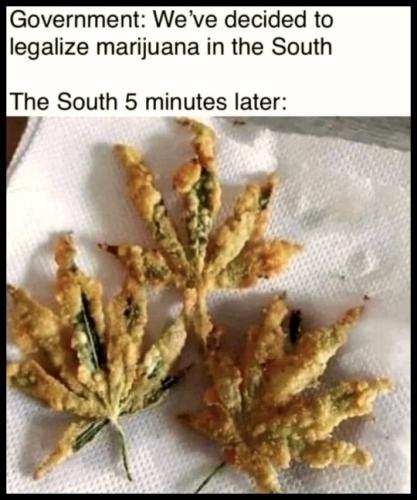 tumblr_07e36b9a20adbaef99612c158b21e2c1_47326c35_540