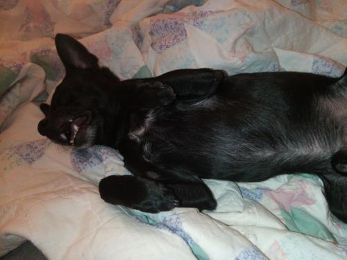 IMG_20220713_200537_01