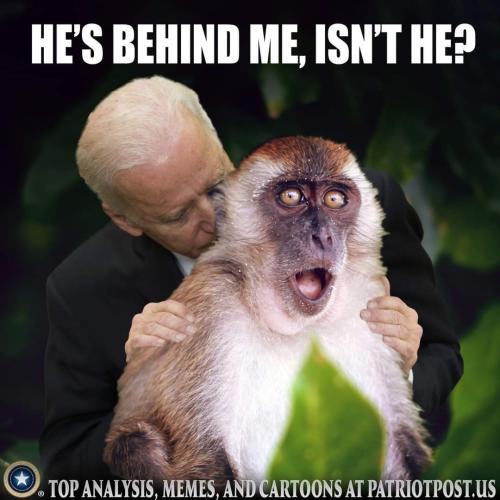 FB_IMG_1661377496287