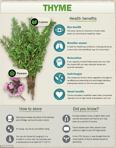 04:54:52 GMT-0500 (CDT)