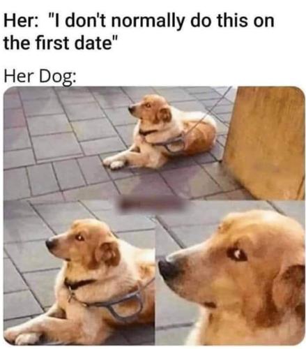 FB_IMG_1660321678554