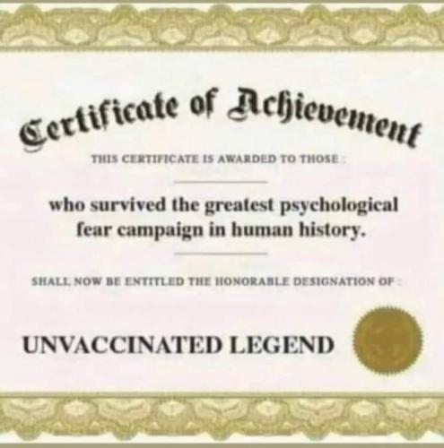 FB_IMG_1661384457502