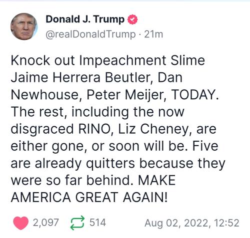 Screenshot_20220802-131404_DuckDuckGo