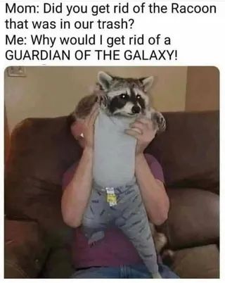 FB_IMG_1660752988947