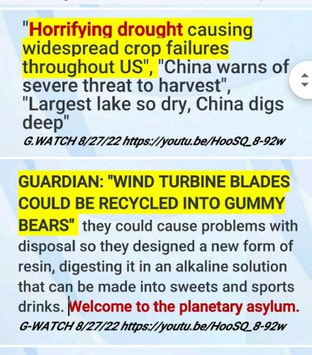 Screenshot_2022-08-30-13-56-34-010_com.google.android.apps.photos