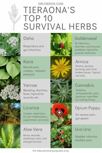 19:40:10 GMT-0500 (CDT)