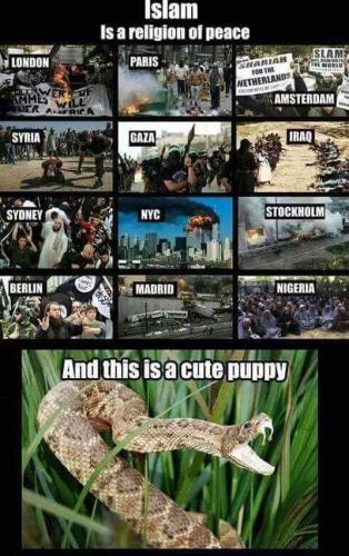 13125011_10154168186513739_1847270267533293123_n