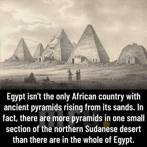 298341192_1705063189862085_5431312741347628710_n