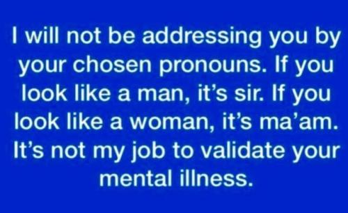 pronouns05